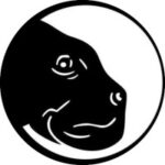 dugong_international_logo