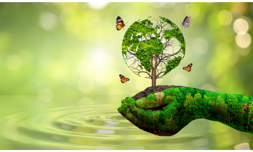 KATCHERI - 2025-12-20T131354.237